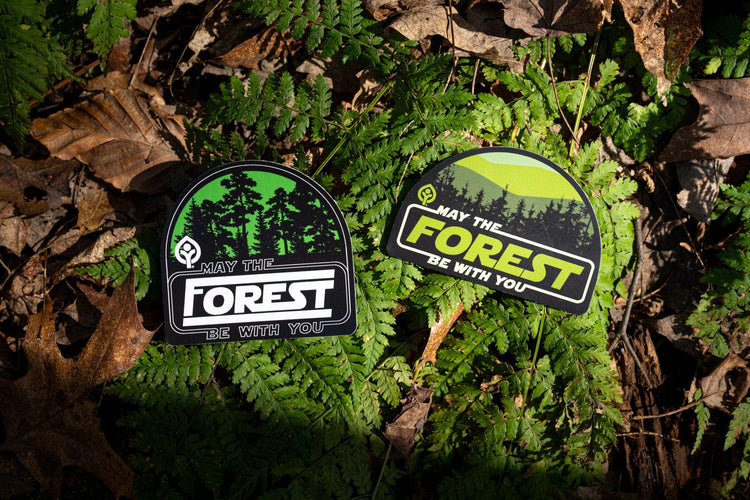 May The Forest Collection