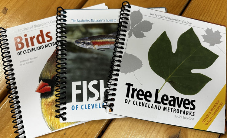 CM Guidebook Series