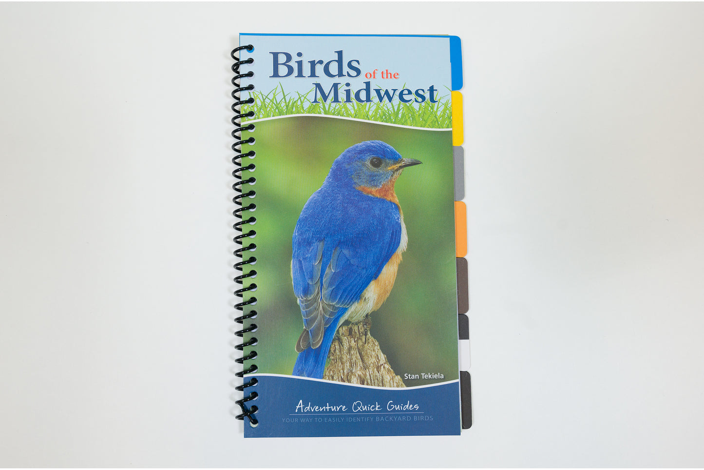 Birds of the Midwest