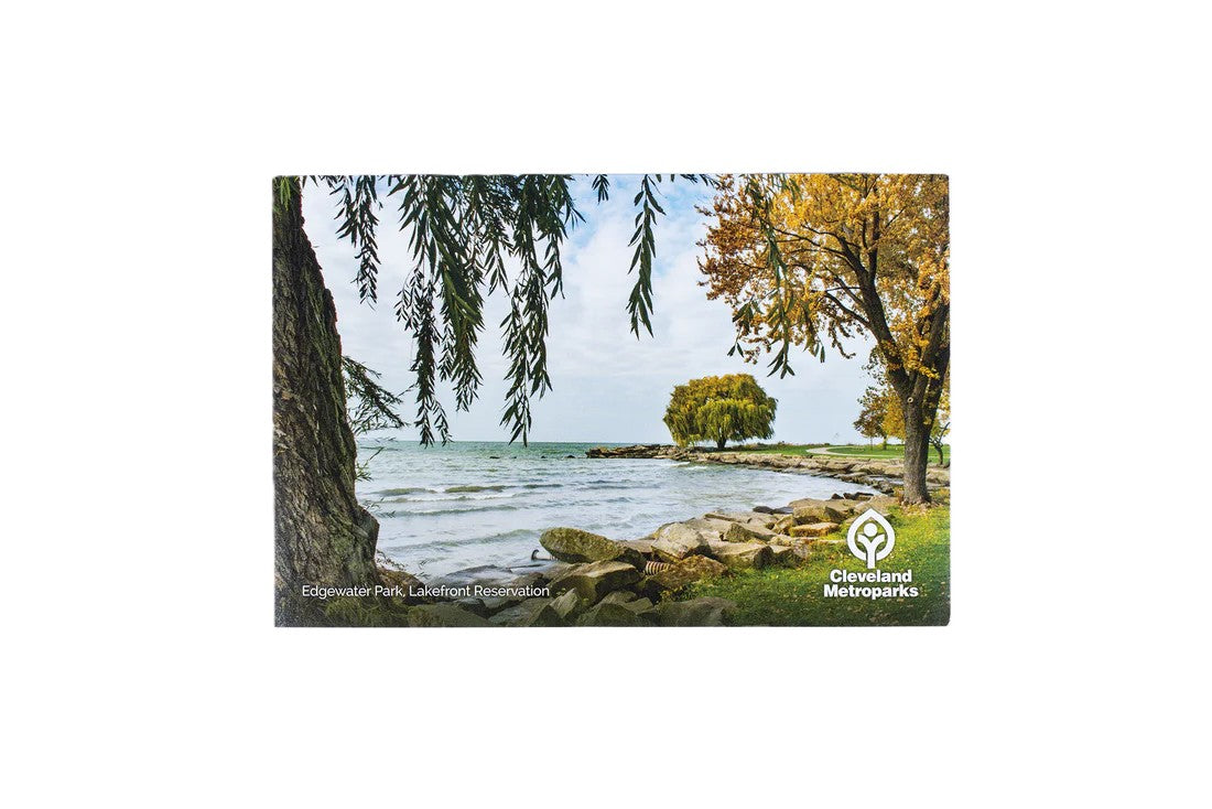Edgewater Postcard