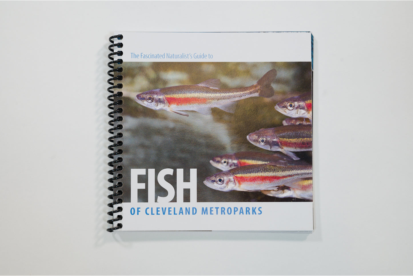 Fish of Cleveland Metroparks