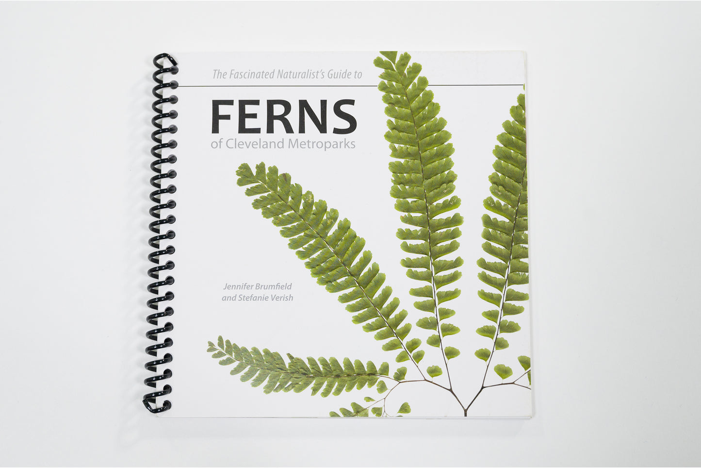Ferns of Cleveland Metroparks