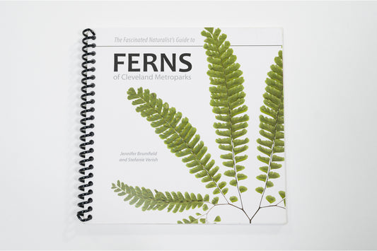 Ferns of Cleveland Metroparks