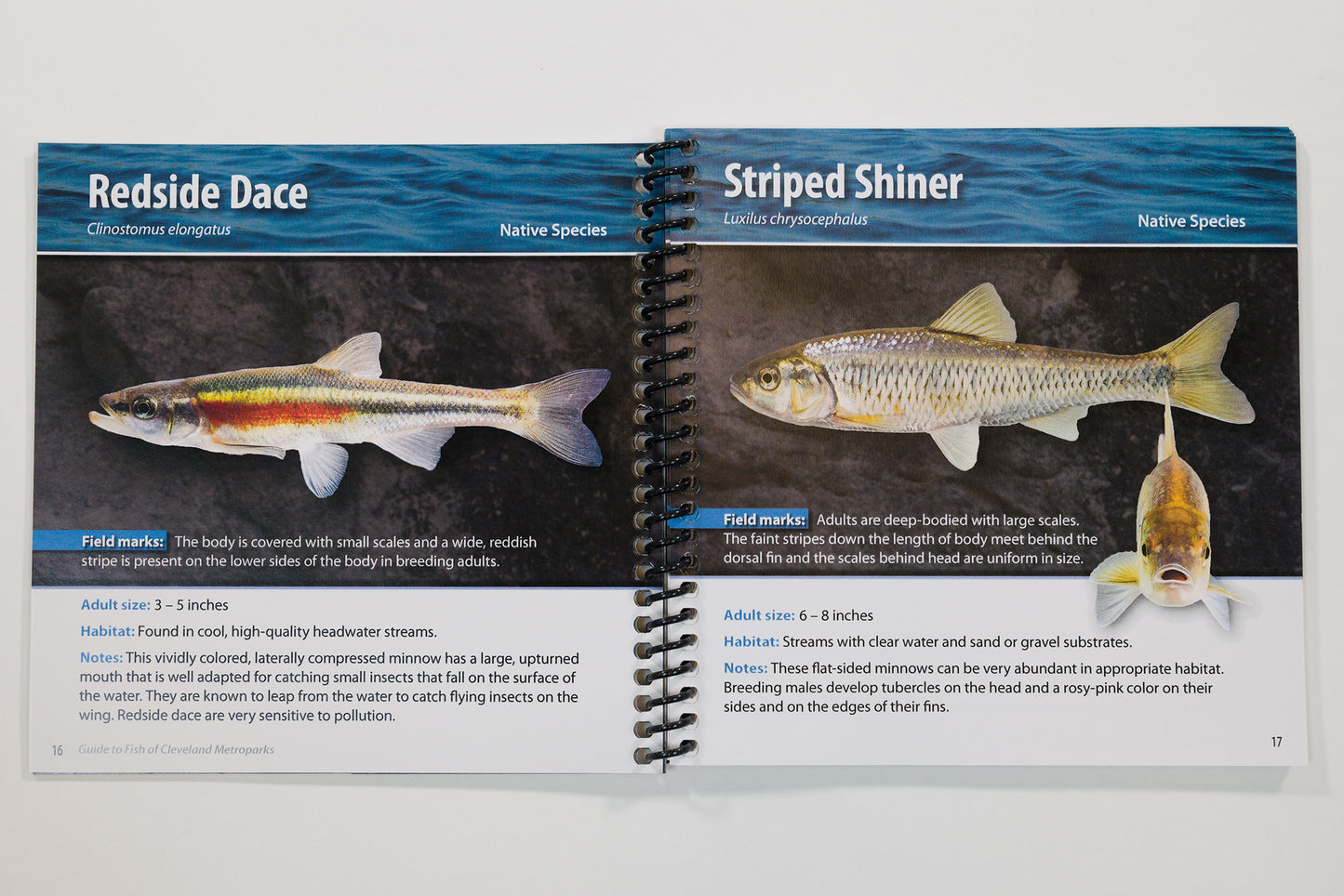 Fish of Cleveland Metroparks