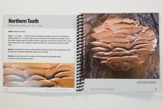 Mushrooms of Cleveland Metroparks