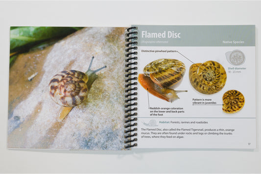 Slugs of Cleveland Metroparks