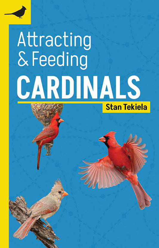 Cardinals Guide