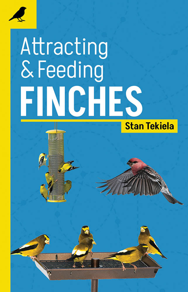 Finches Guide