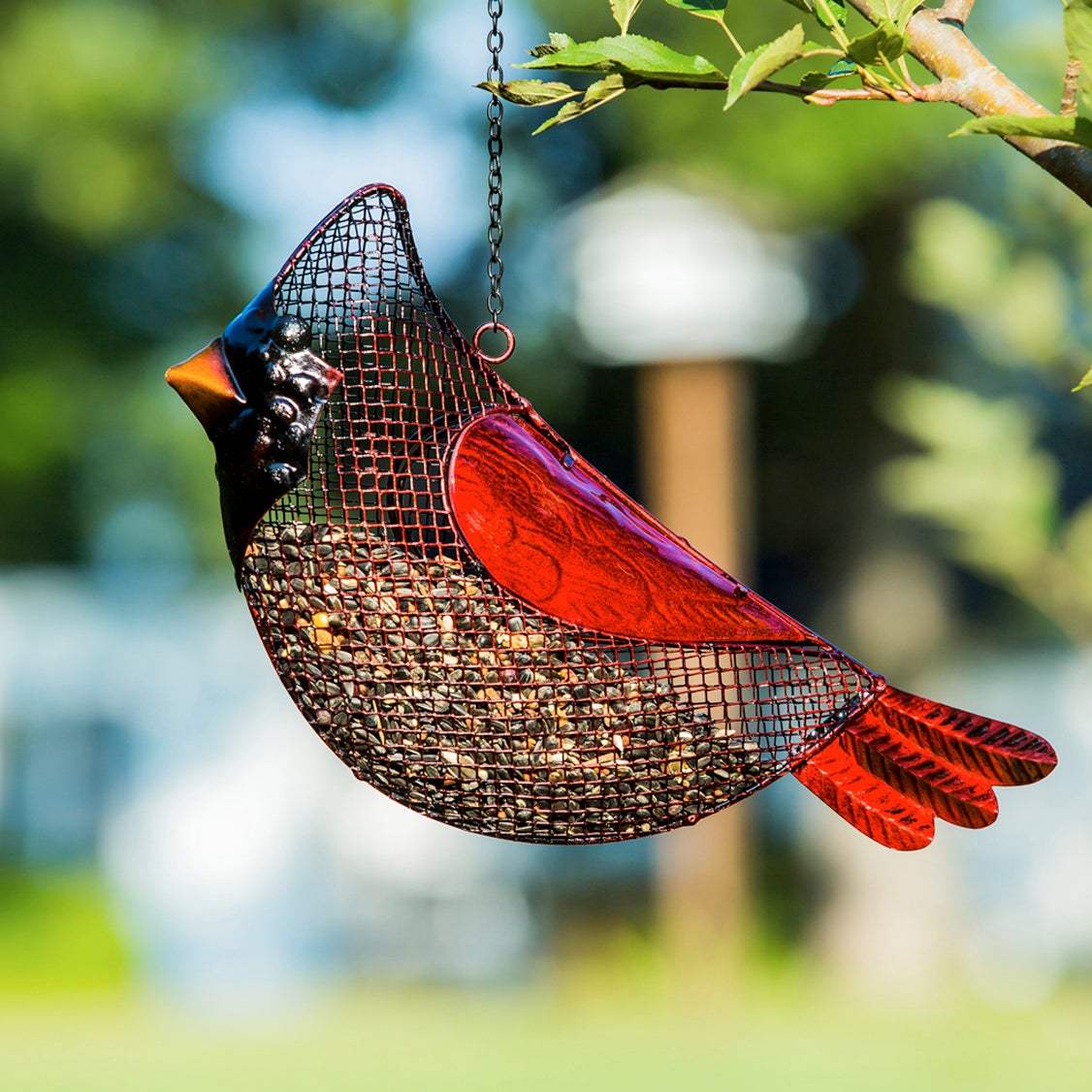 Cardinal Seed Feeder