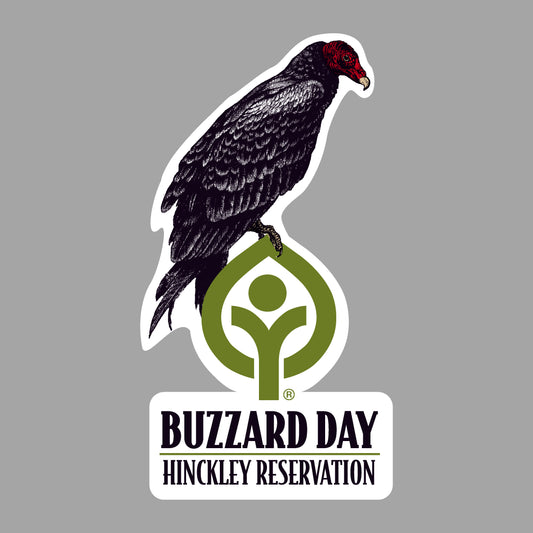 Buzzard Sticker