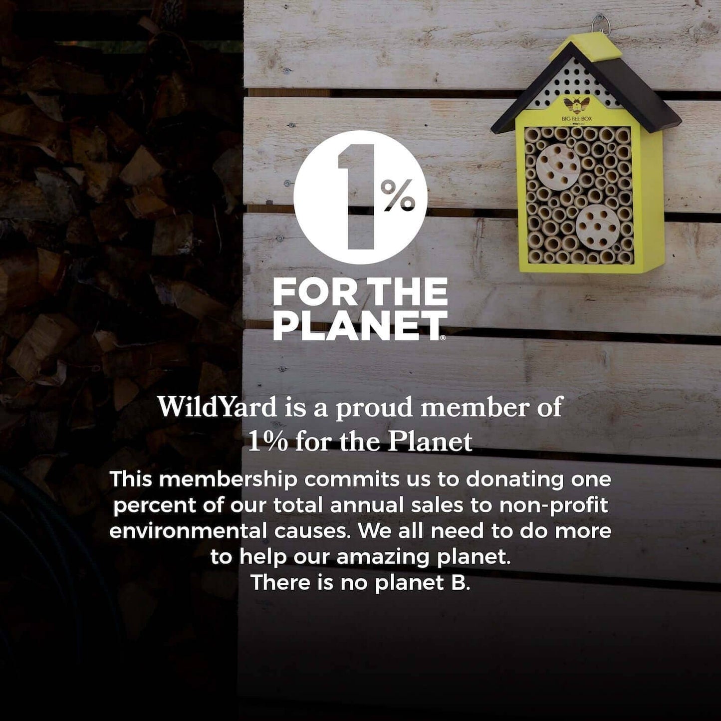 Bee House – Big Bee Box