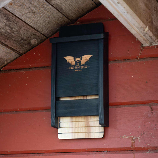 Single Chamber Bat House (Black)