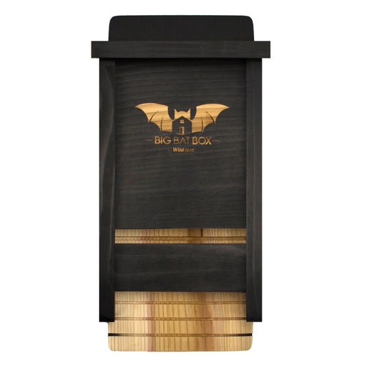 Single Chamber Bat House (Black)