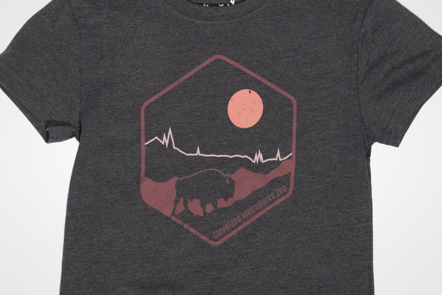 Youth Bison Tee