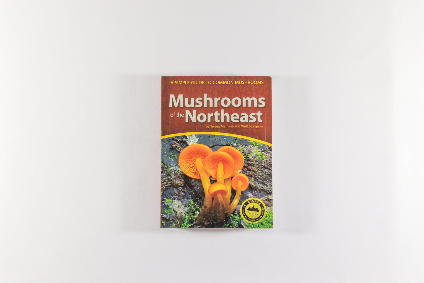 Mushrooms of Northeast