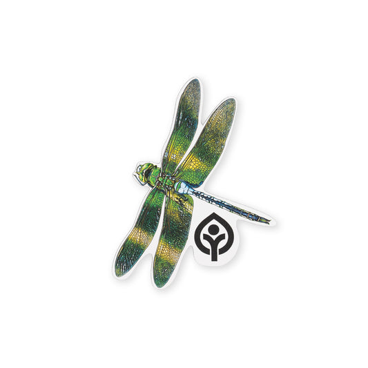 Dragonfly Sticker