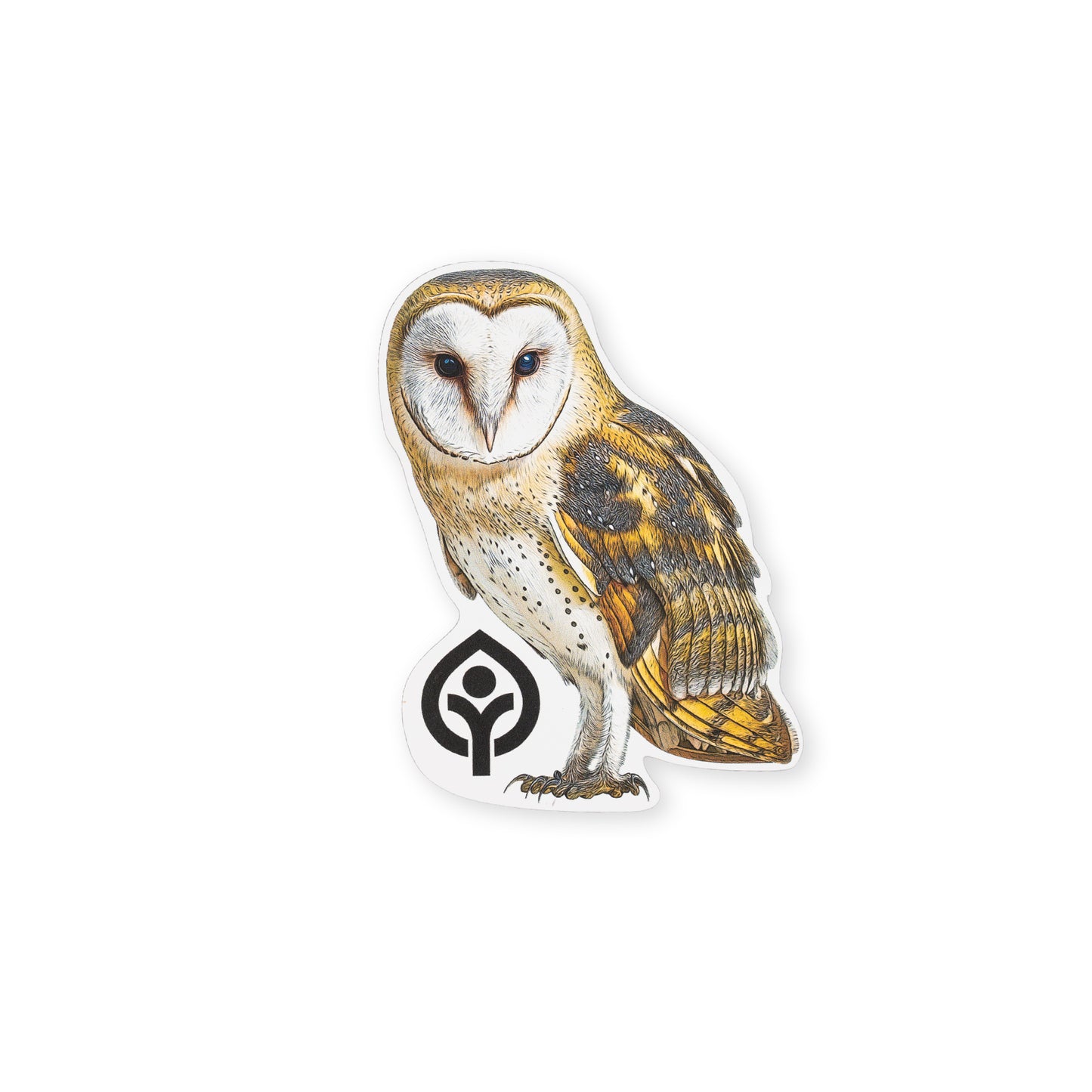 Barn Owl Sticker
