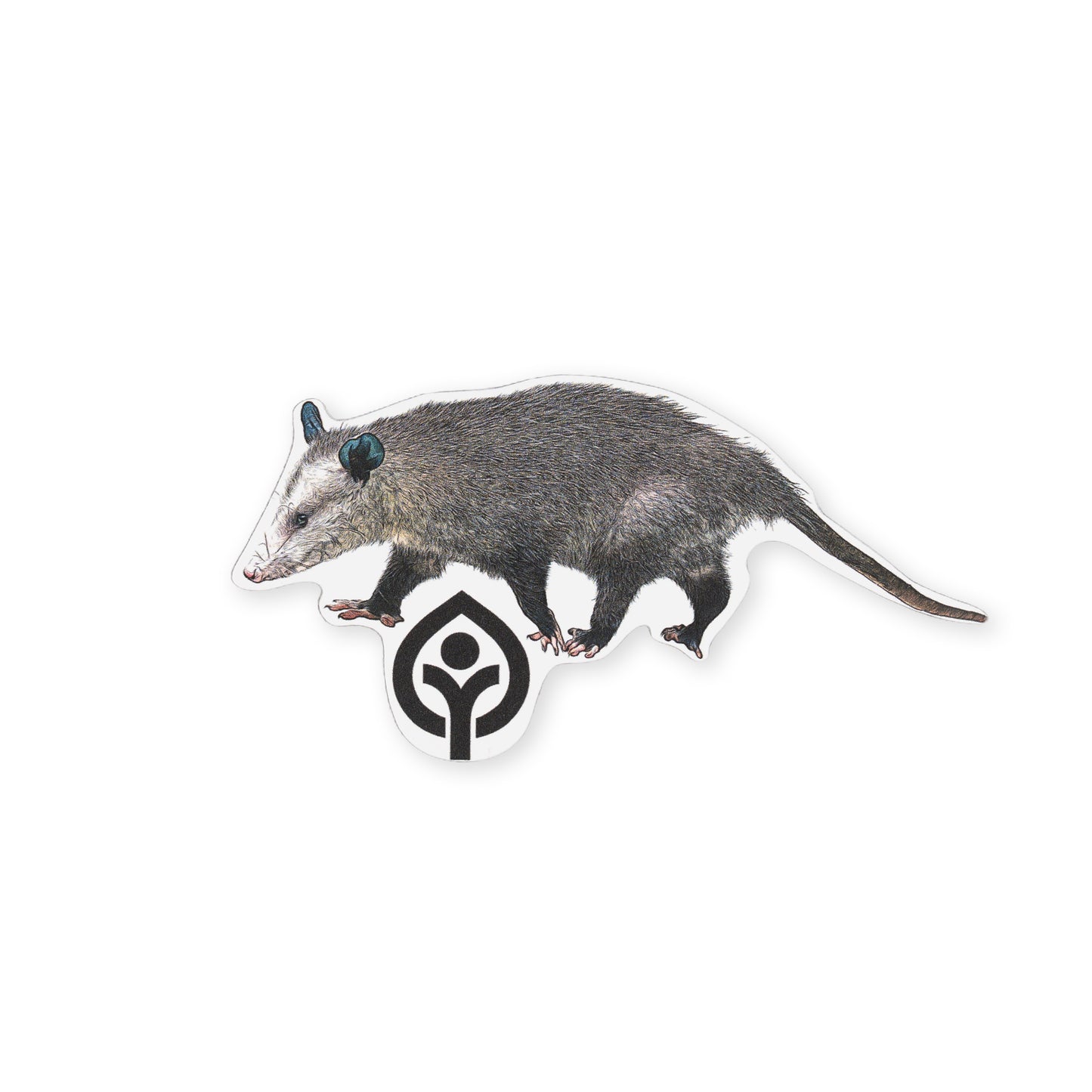 Opossum Sticker