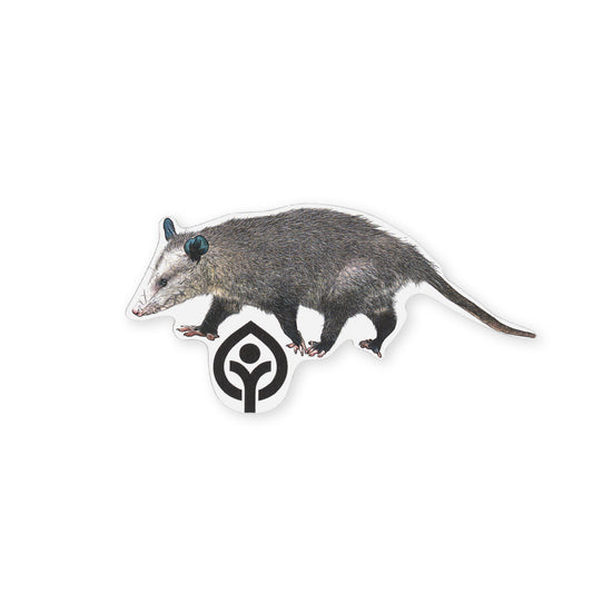 Opossum Sticker