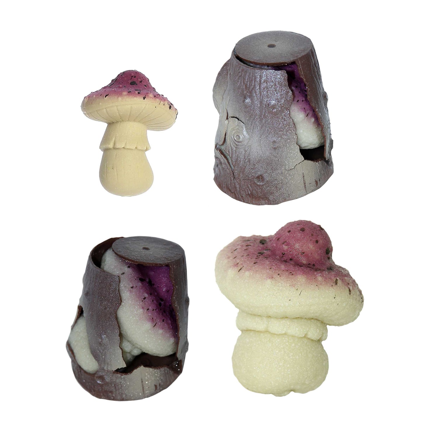 Grow Mushroom Toy