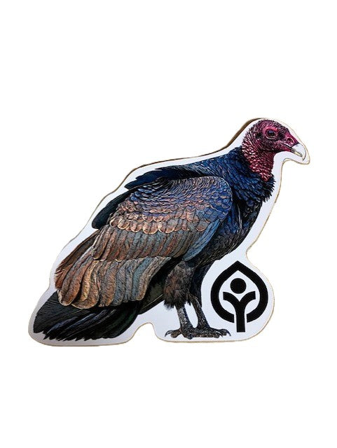 Turkey Vulture Sticker