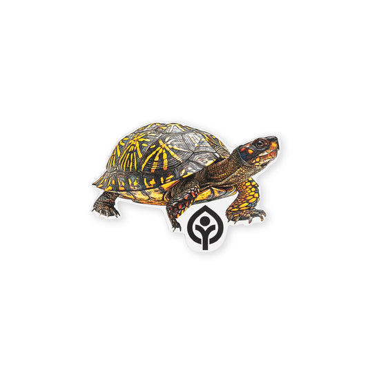 Box Turtle Sticker