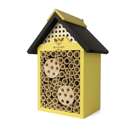 Bee House – Big Bee Box