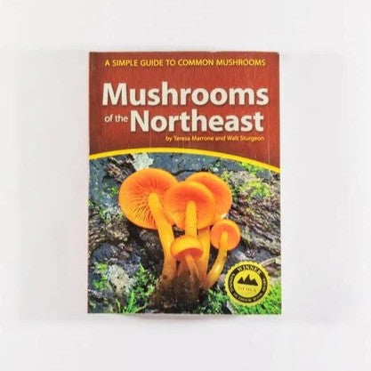 Mushrooms of Northeast