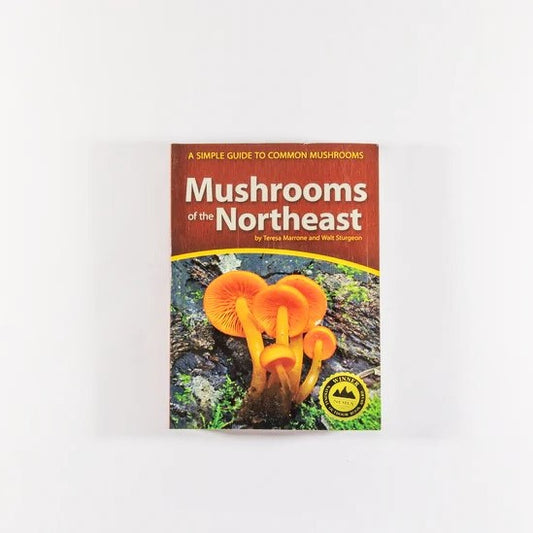 Mushrooms of Northeast