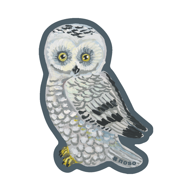 NOSO Repair Patch Snowy Owl Design