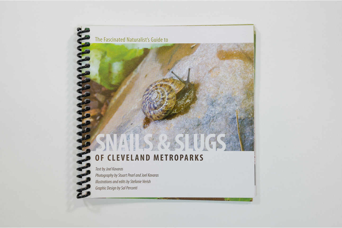 Slugs of Cleveland Metroparks