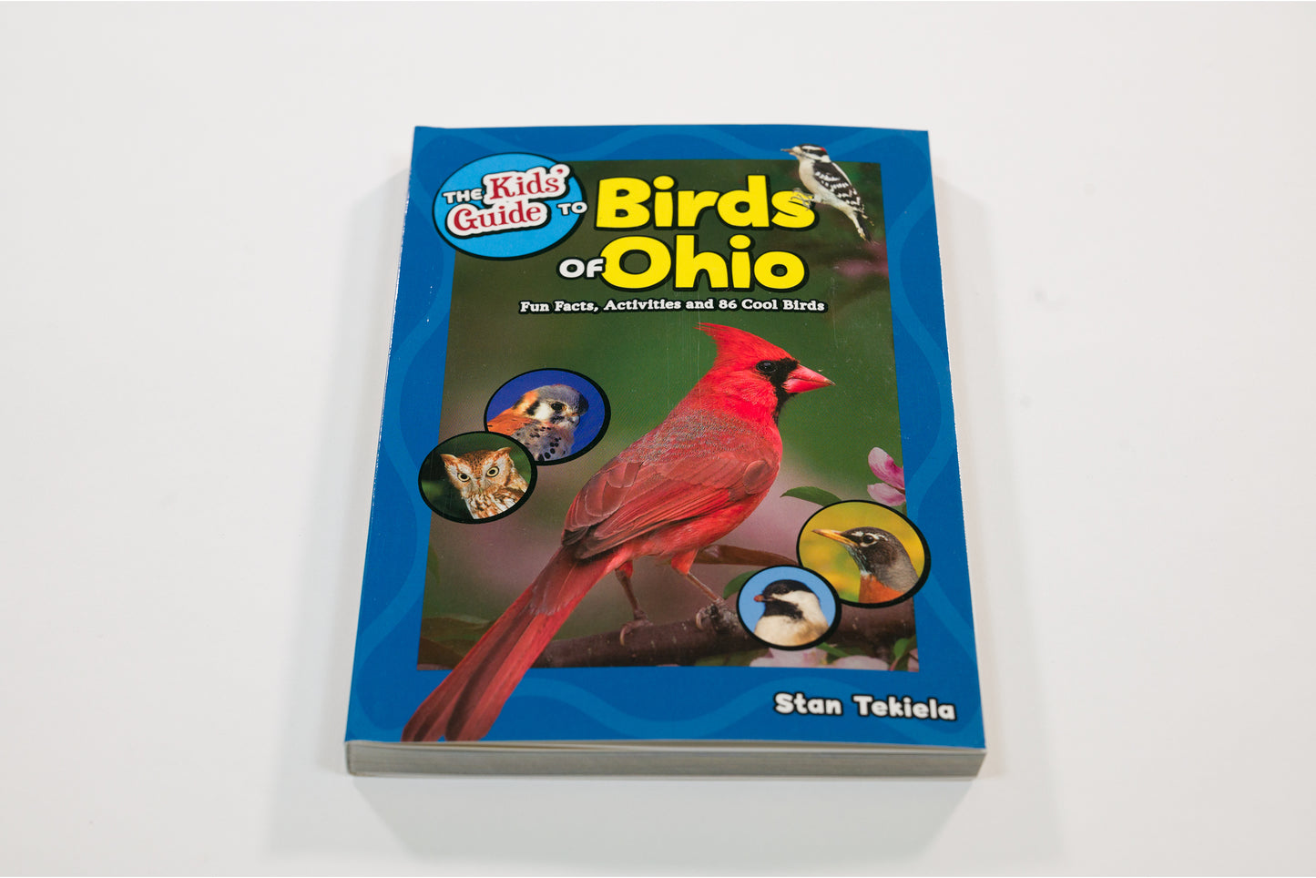 Kids Guide Birds of Ohio