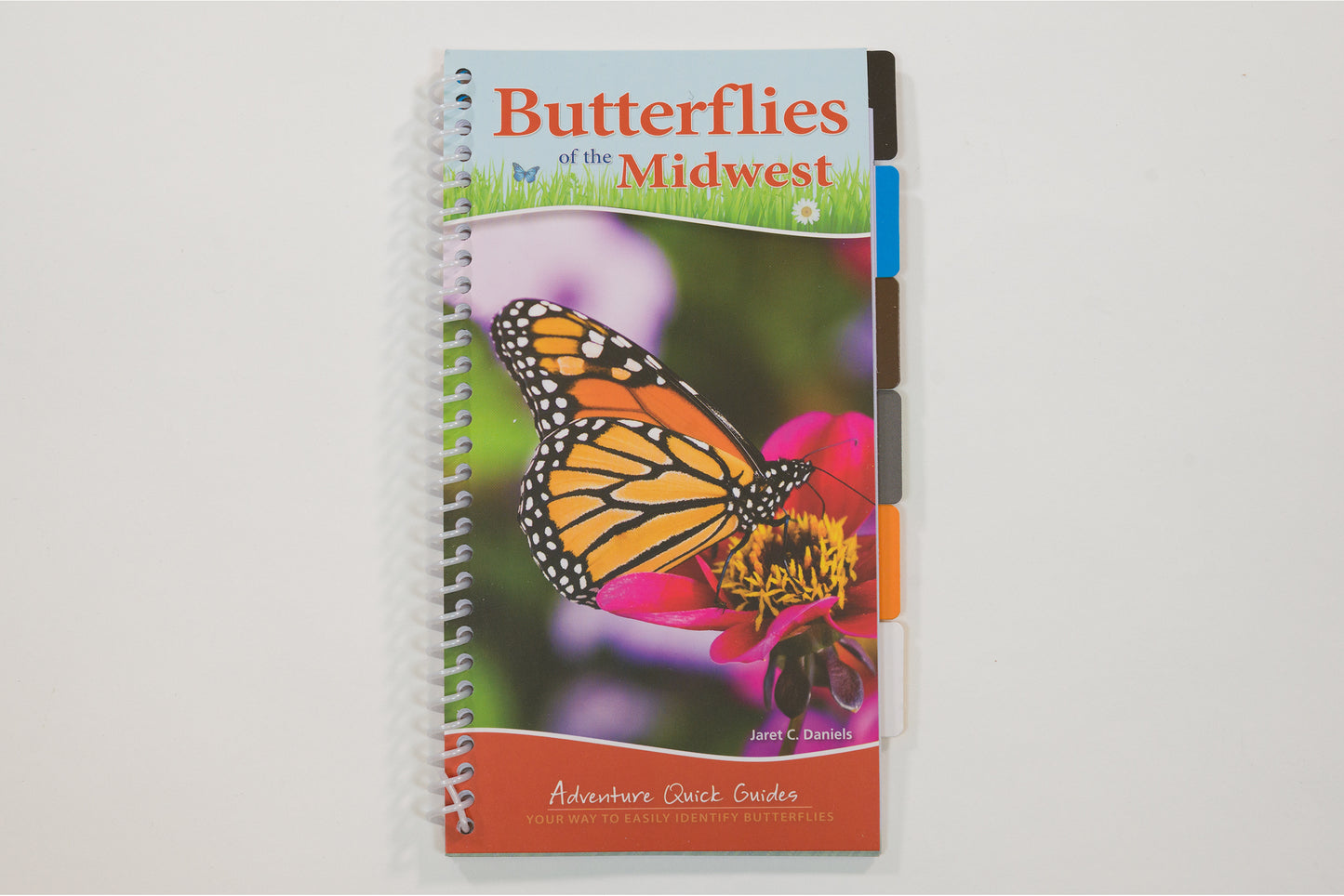 Butterflies of the Midwest