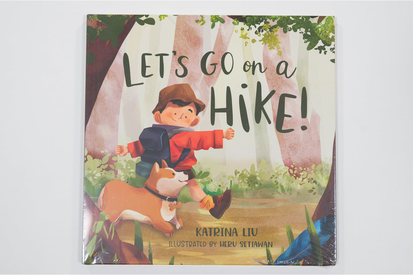 Let's Go Hike Book