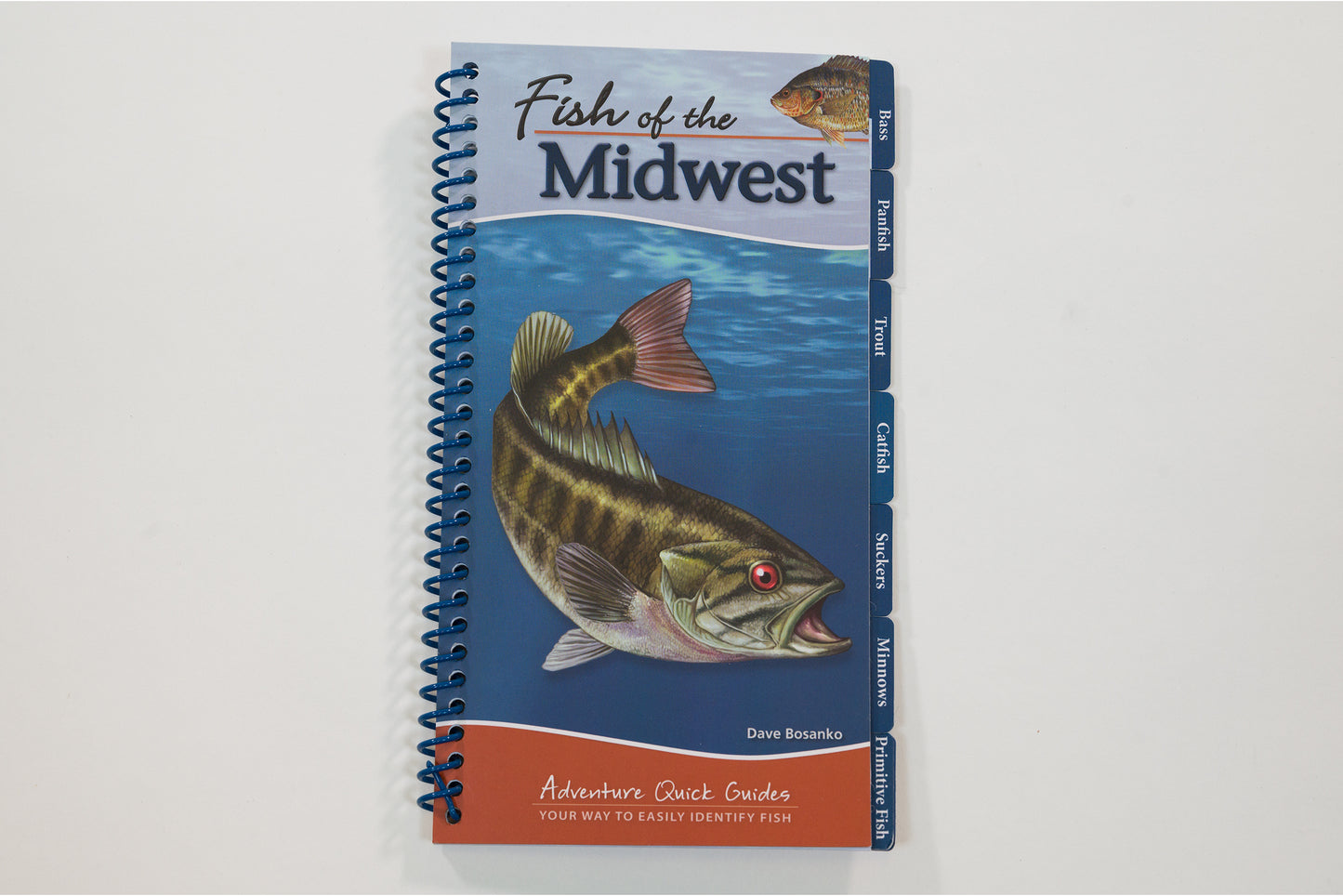 Fish Of Midwest